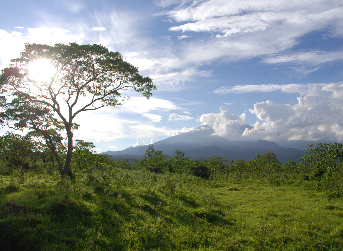 Tanzania Tim H 413.JPG