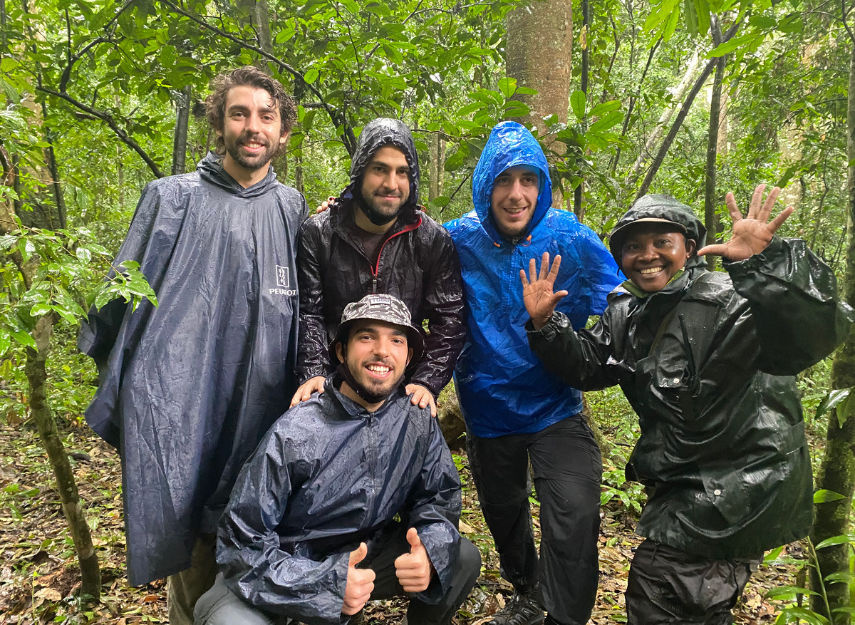 Gorilla tracking experience