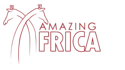 Amazing-Africa-Logo.webp
