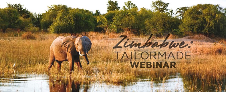 C380-zim-webinar-header-2.jpg