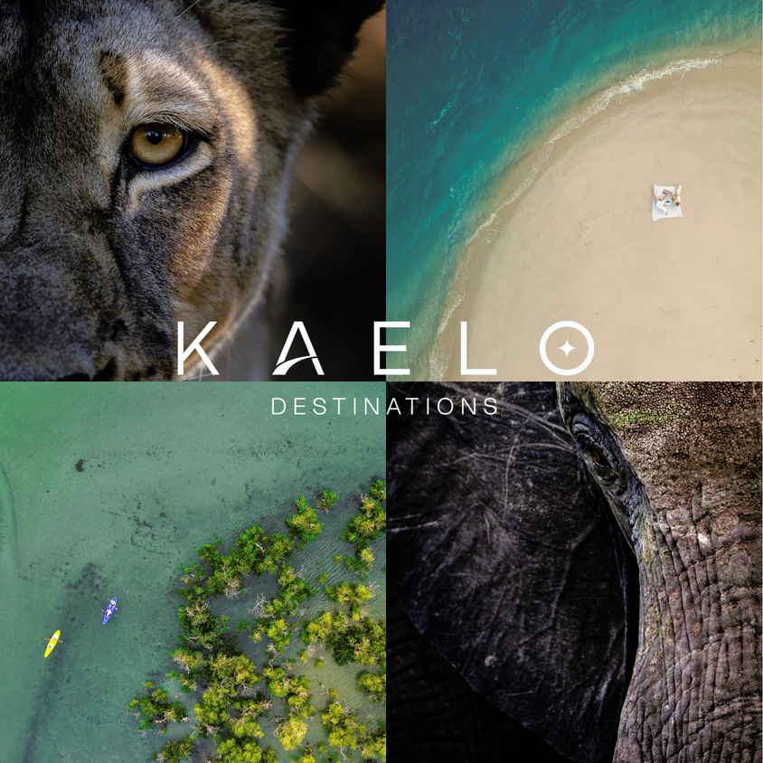 Untitled+design.png 1