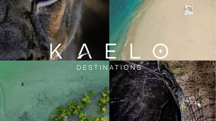 Untitled+design.png 1