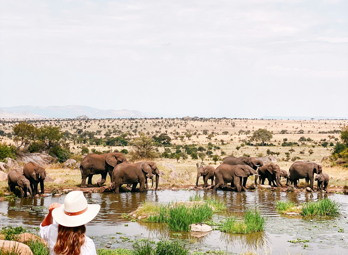 FS Serengeti 108.JPG