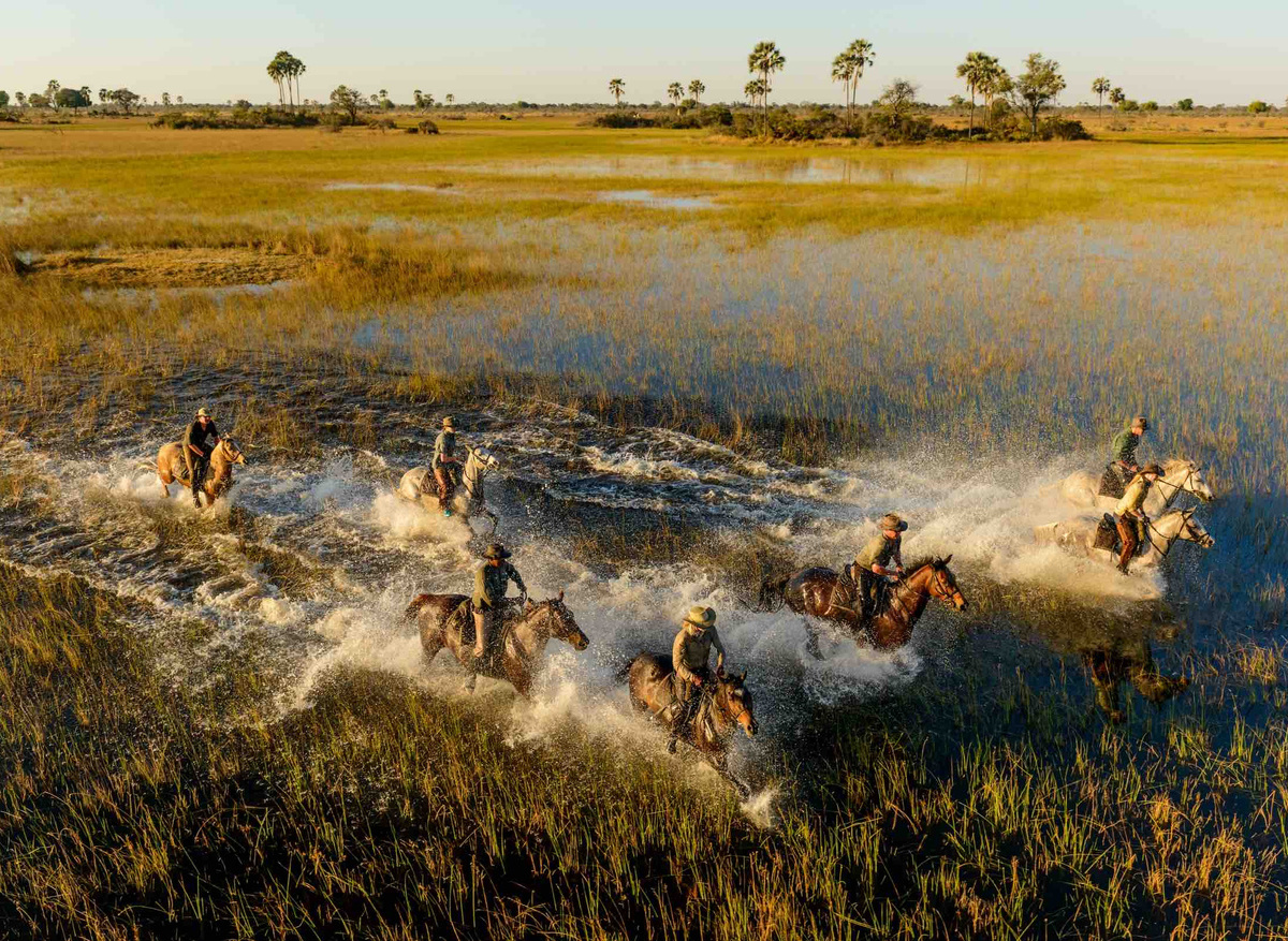 Water Canter AI low.jpg