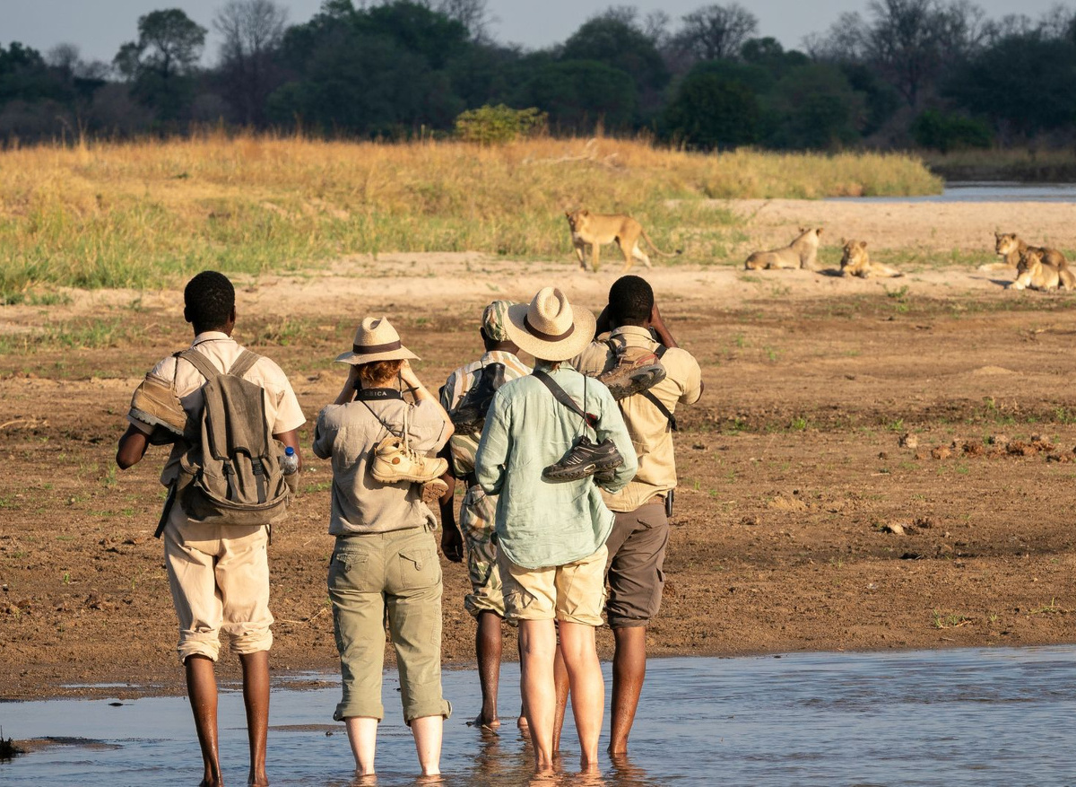 Mobile Walking Safaris - South Luangwa National Park, Zambia