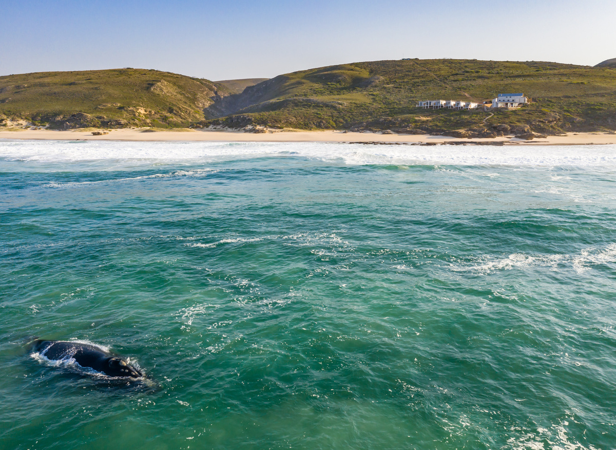 Lekkerwater Beach Lodge.jpg