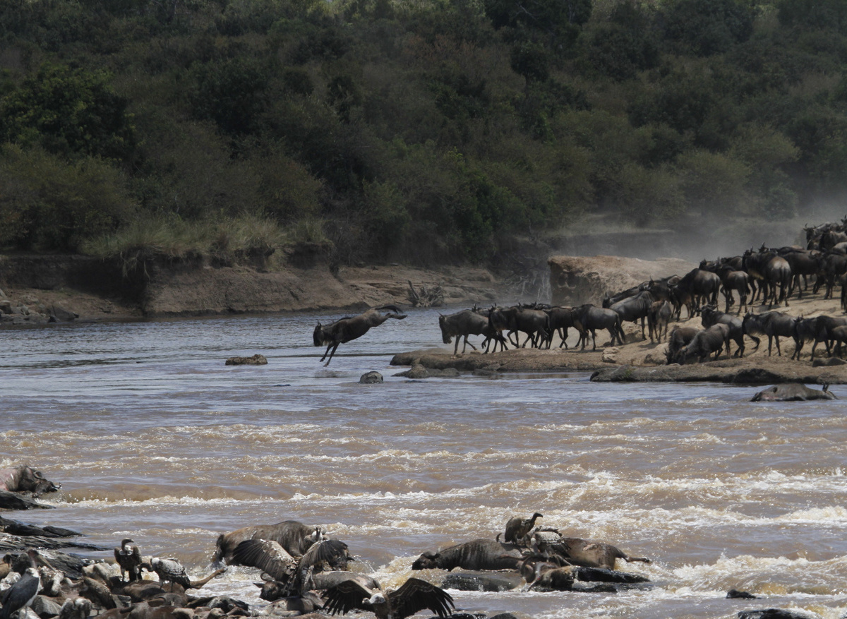 Kenya 10-20mm 711.jpg