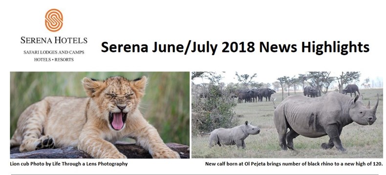 C62C-serena-june-july-newsletter-header.jpg