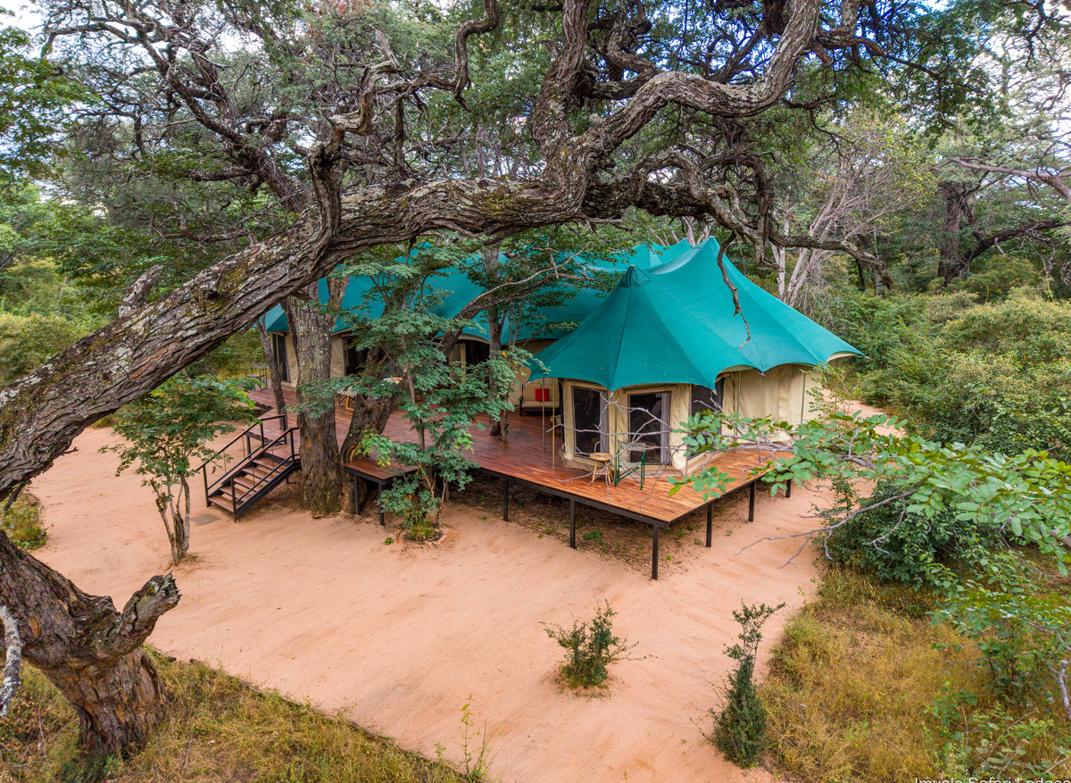 Tum Tum Treehouse Lodge - Family Tent
