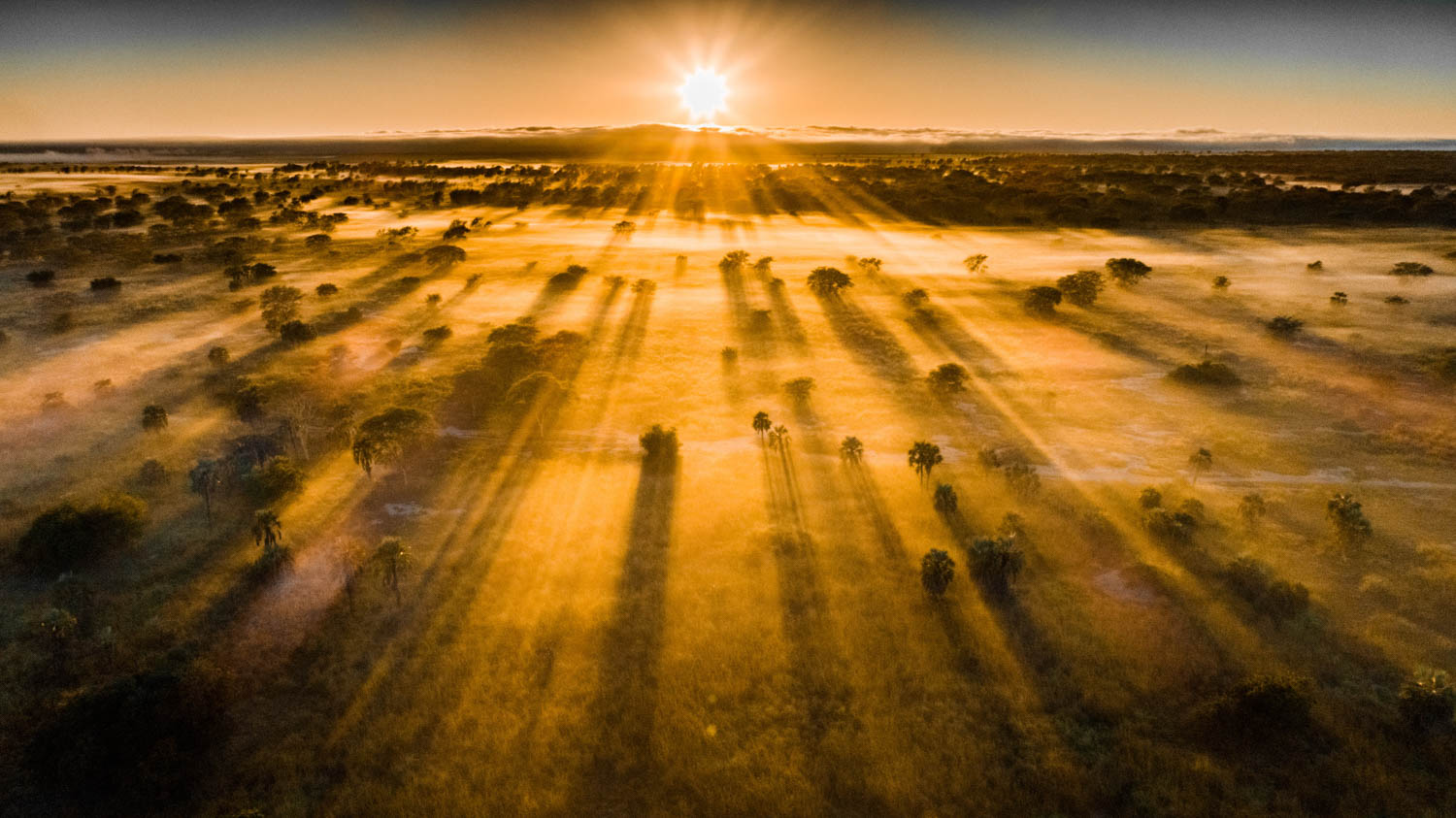 gorongosa+safari.jpg