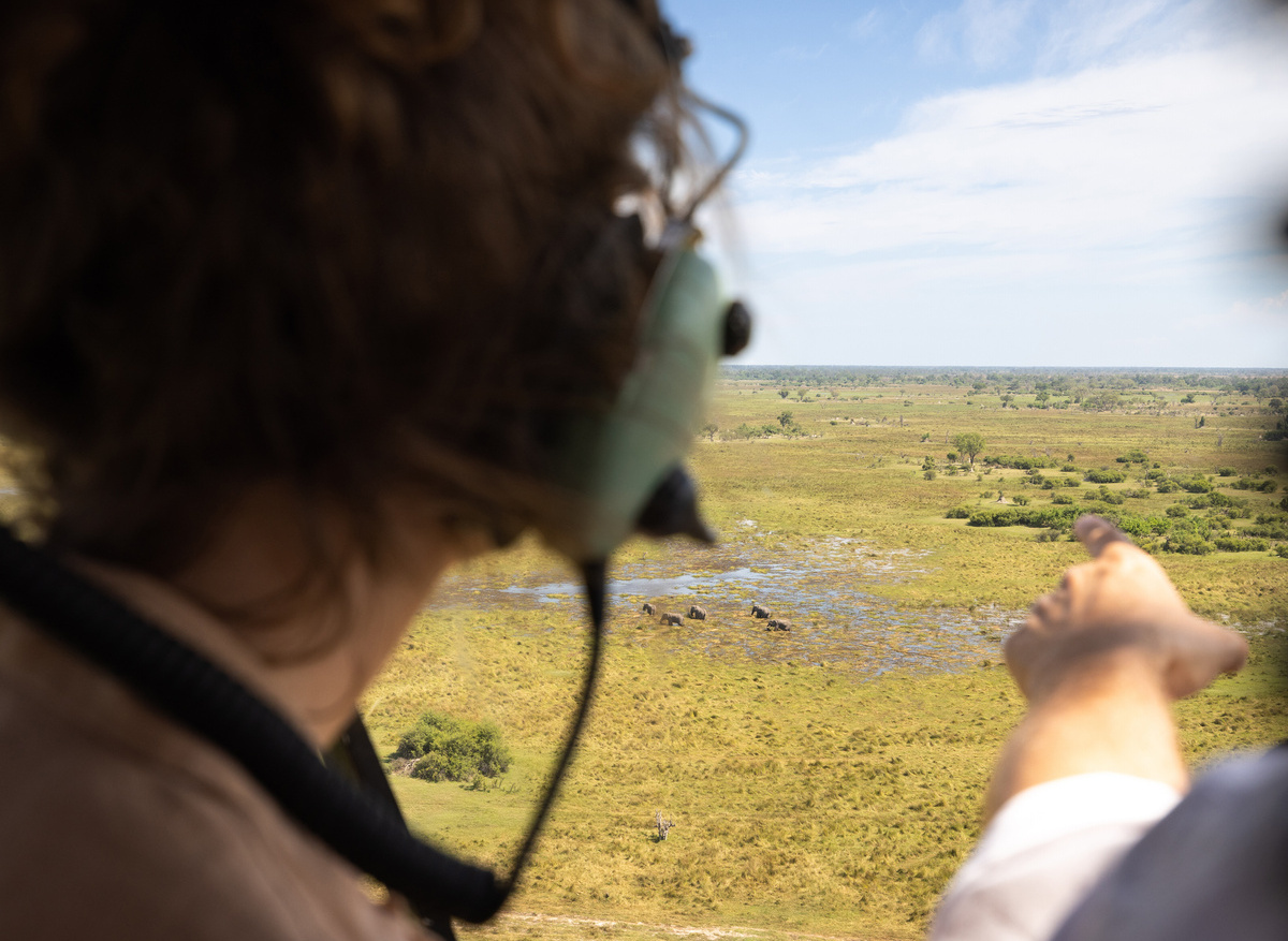 Helicopter Horizons - Guided Flights