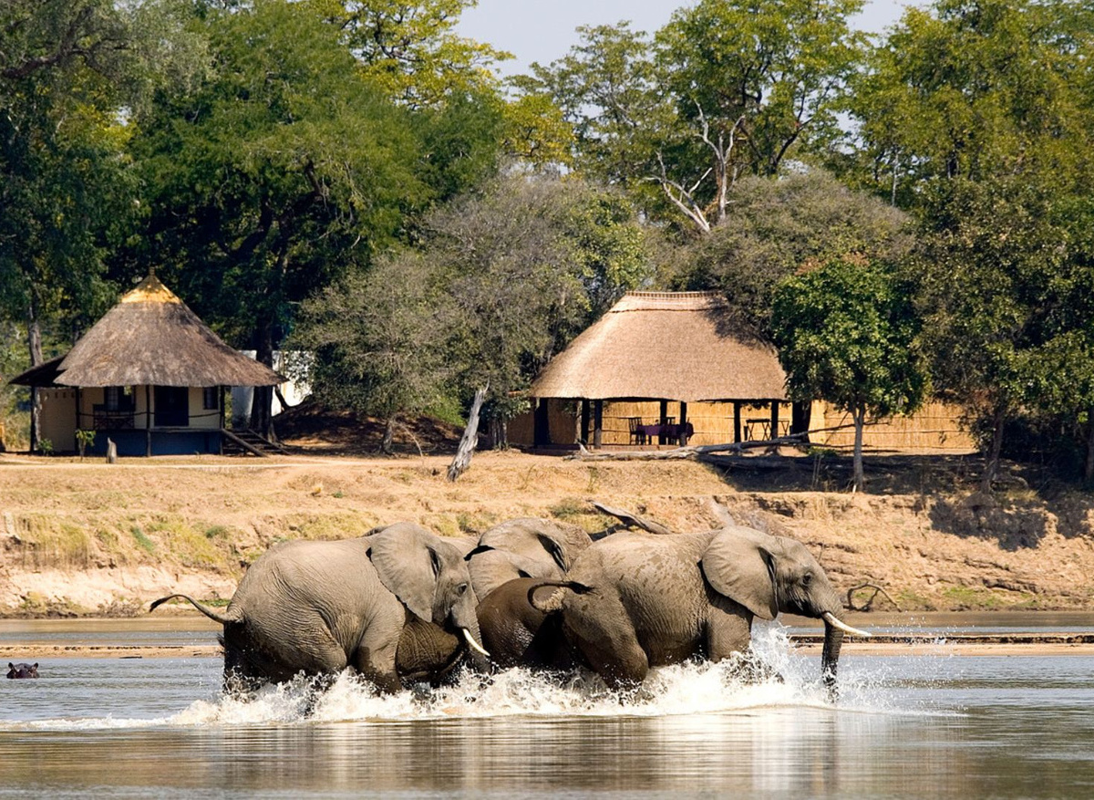 Nsefu Camp - South Luangwa National Park, Zambia
