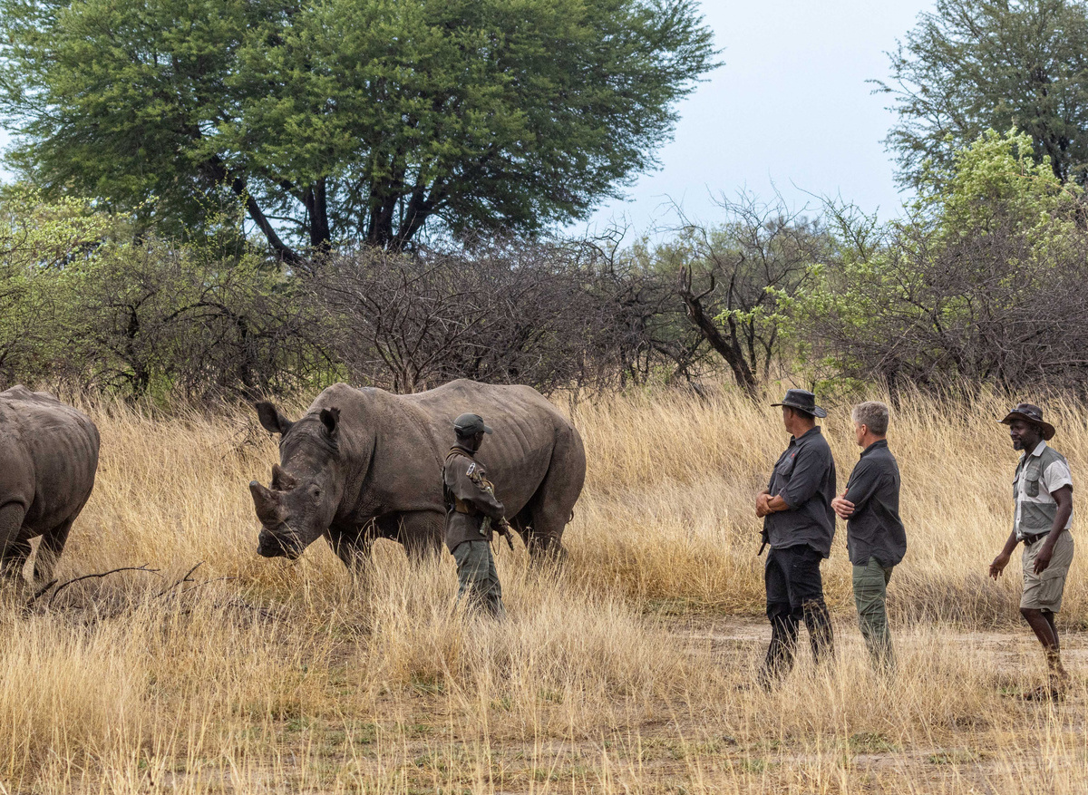 Community Rhino Conservation Initiative - Imvelo Ngamo Sanctuary - our rhinos, Thusa and Kusasa