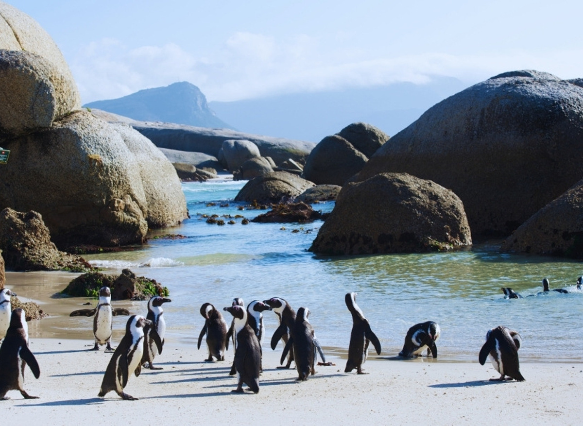 BEACHES & BOULDERS.jpg