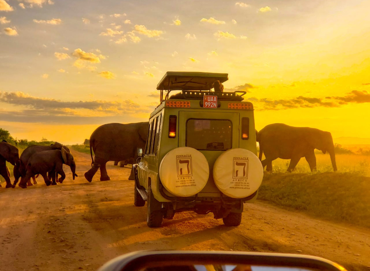 Queen Elizabeth park.jpg