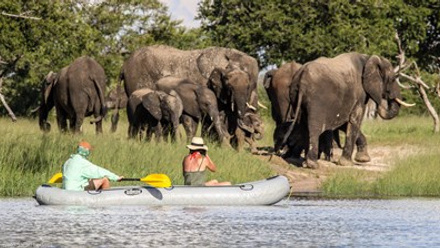Imvelo Safari Lodges - Bomani - Canoeing with Elephants Bomani concession Jan 2021 (1 of 1)-11.jpg