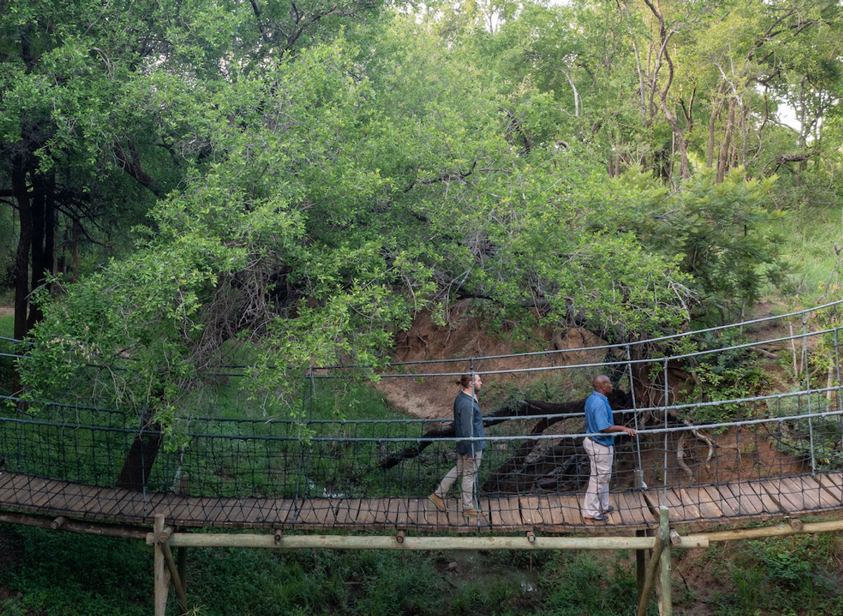 Safari Lodge Swing Bridge.jpeg