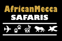 AfricanMecca Safaris logo.gif