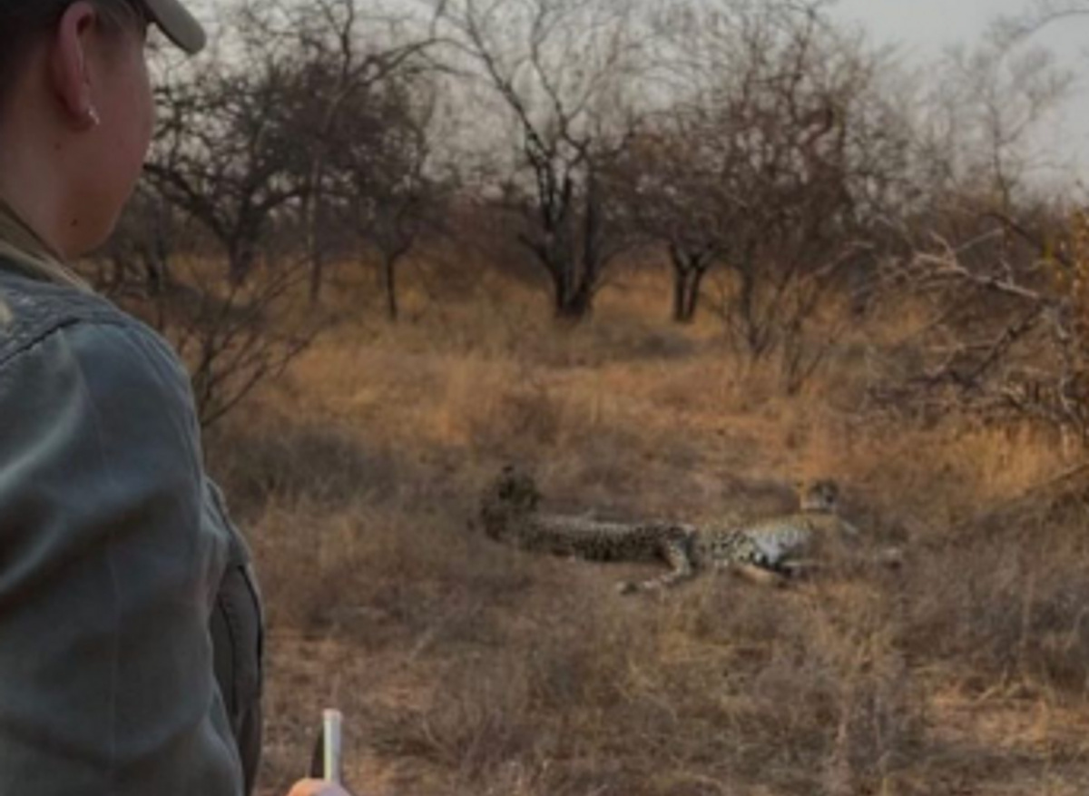 C75AED47-DBD1-43F6-ABE050B489C06761_5