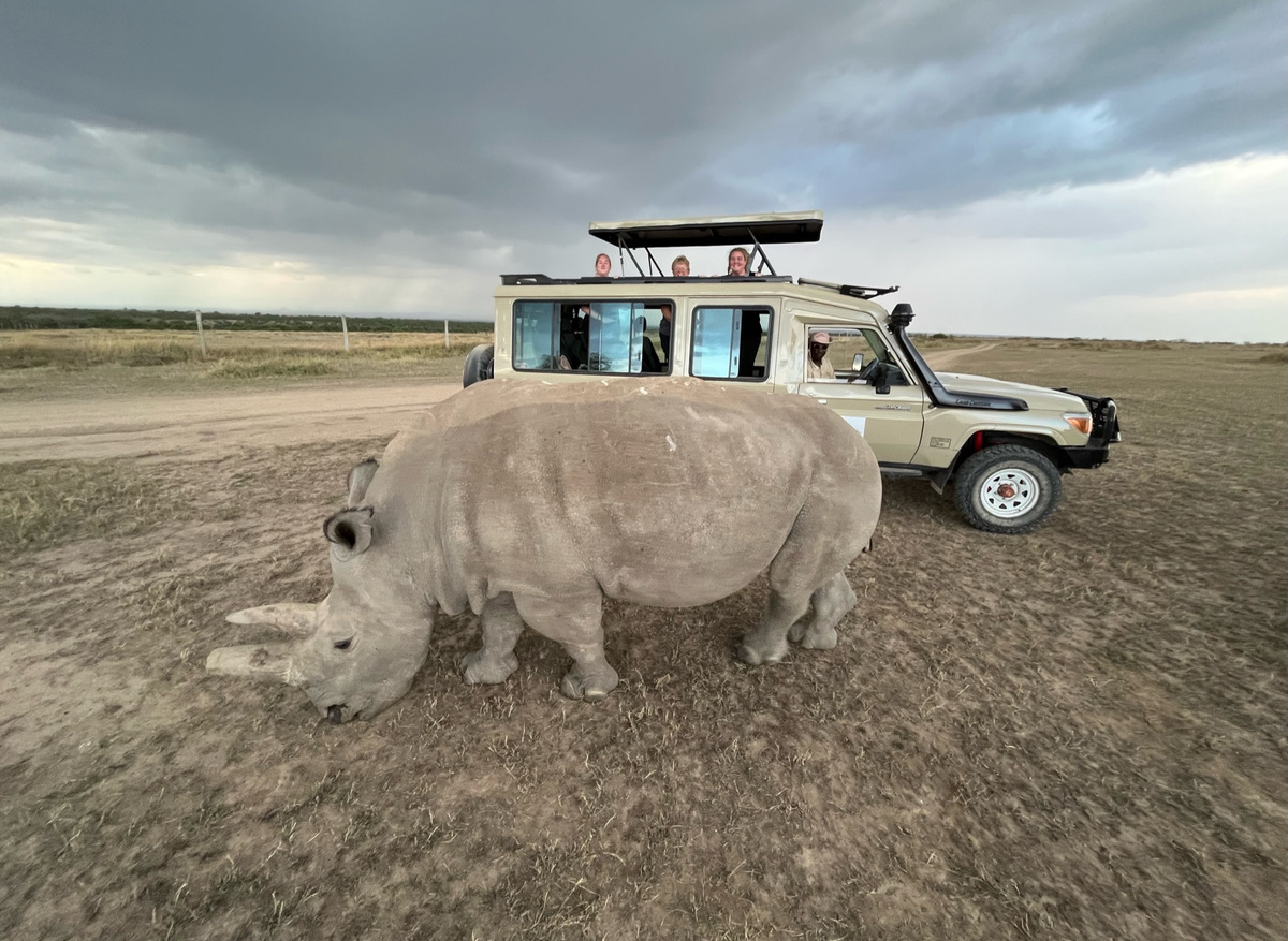 Two Remaining Northern White Rhinos