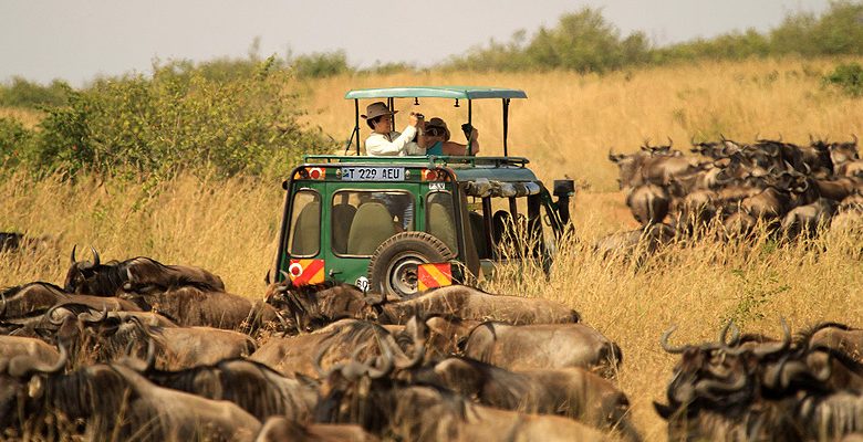 Tourism-780x400.jpg