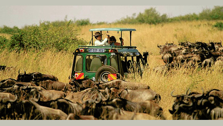 tourism-780x400.jpg
