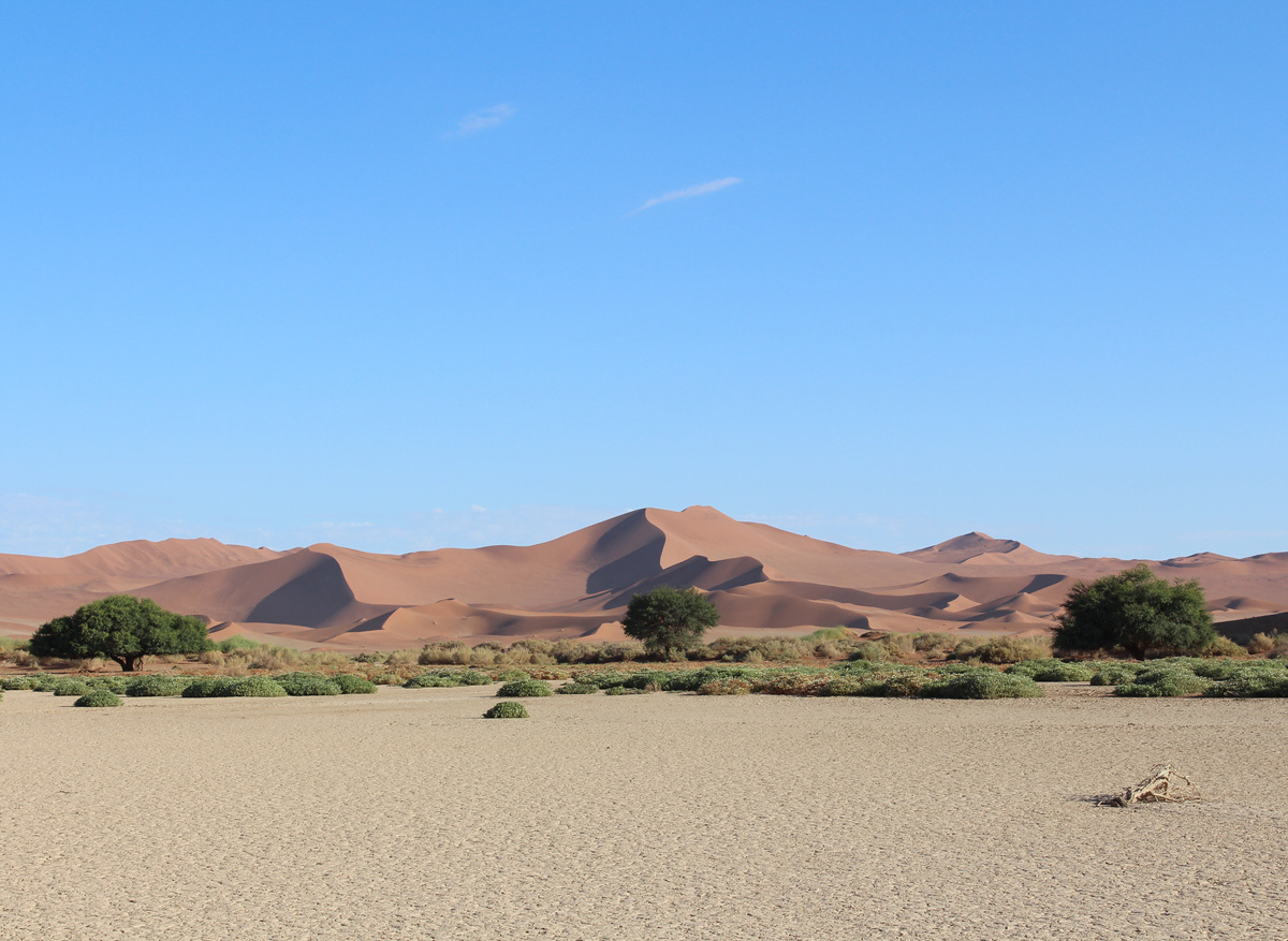 Sossusvlei