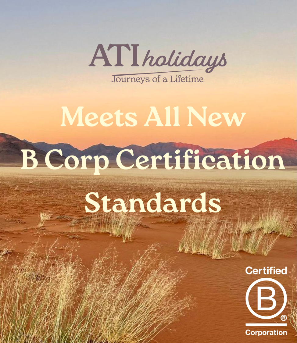 Backup_of_BCorp+Header.png