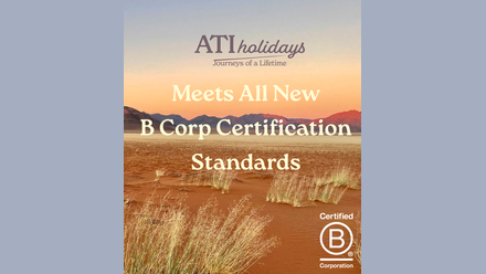 Backup_of_BCorp+Header.png
