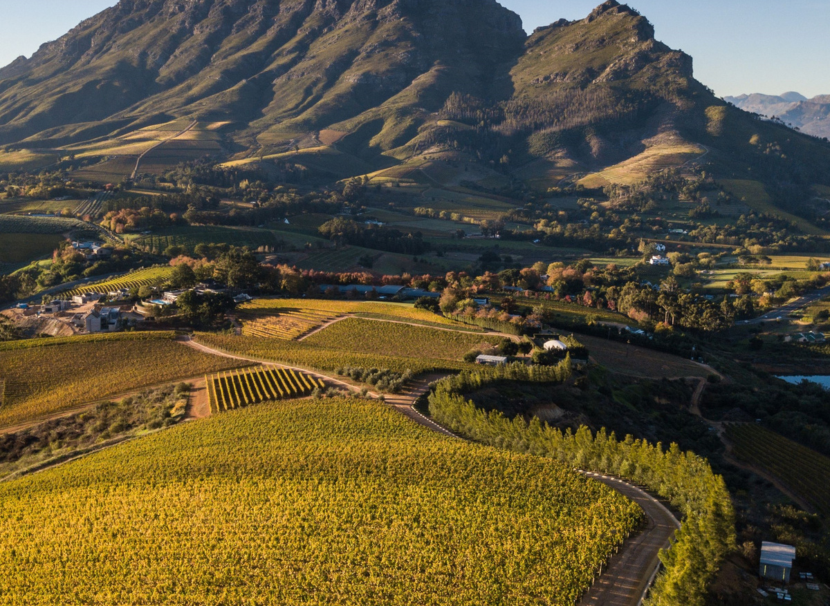 Stellenbosch Wine Routes, Delaire Graff Estate vineyard and mountain view.jpg