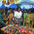 Kejetia Market 