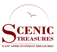 Scenic Treasures LTD (PNG).png