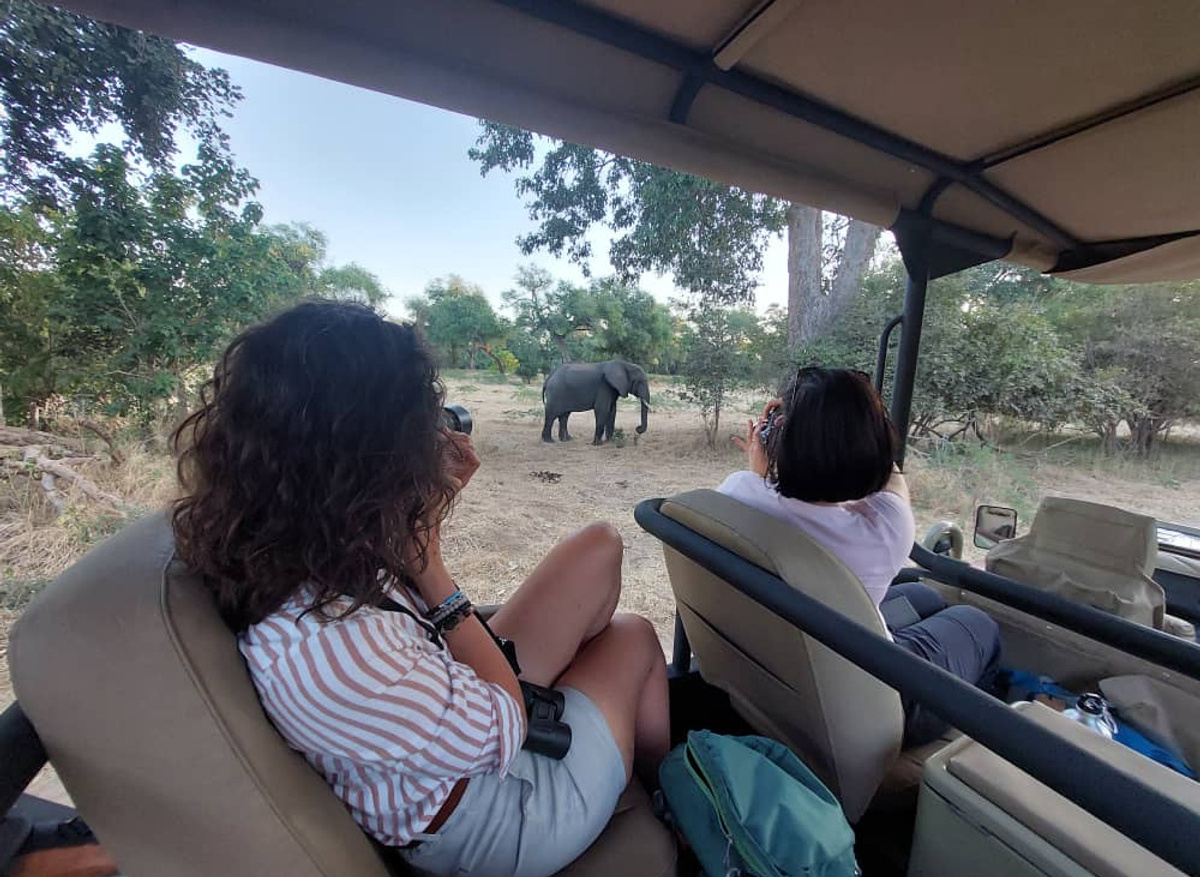 game drive.jpg