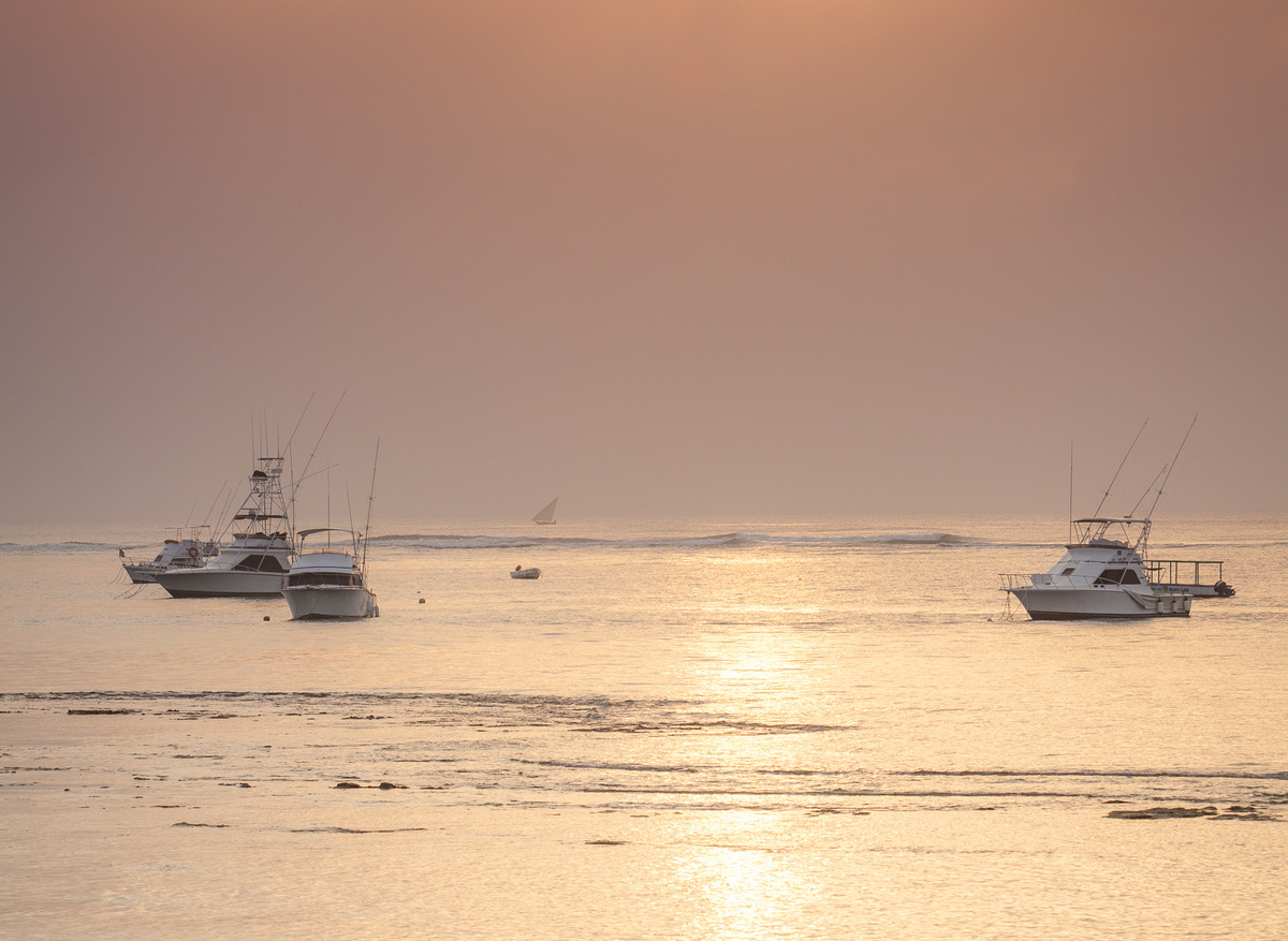 Medina - Seascape - 04.jpg