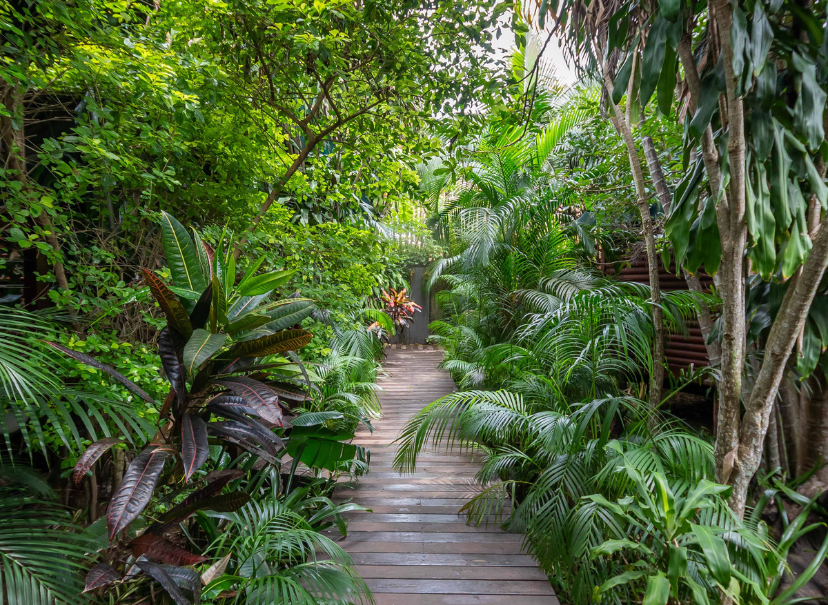 budget tented village st lucia.jpg