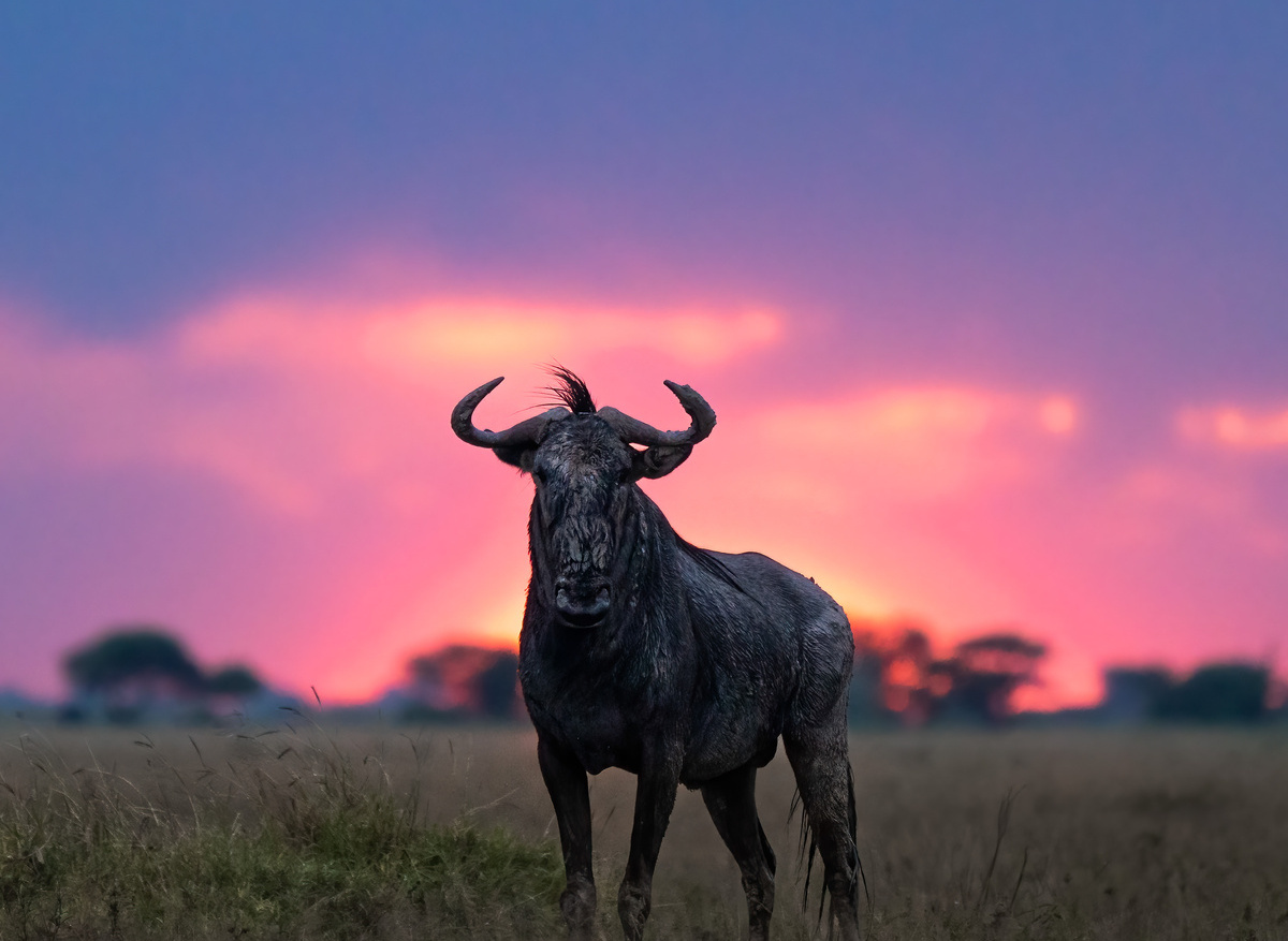 Photography Frank Steenhuisen - Botswana