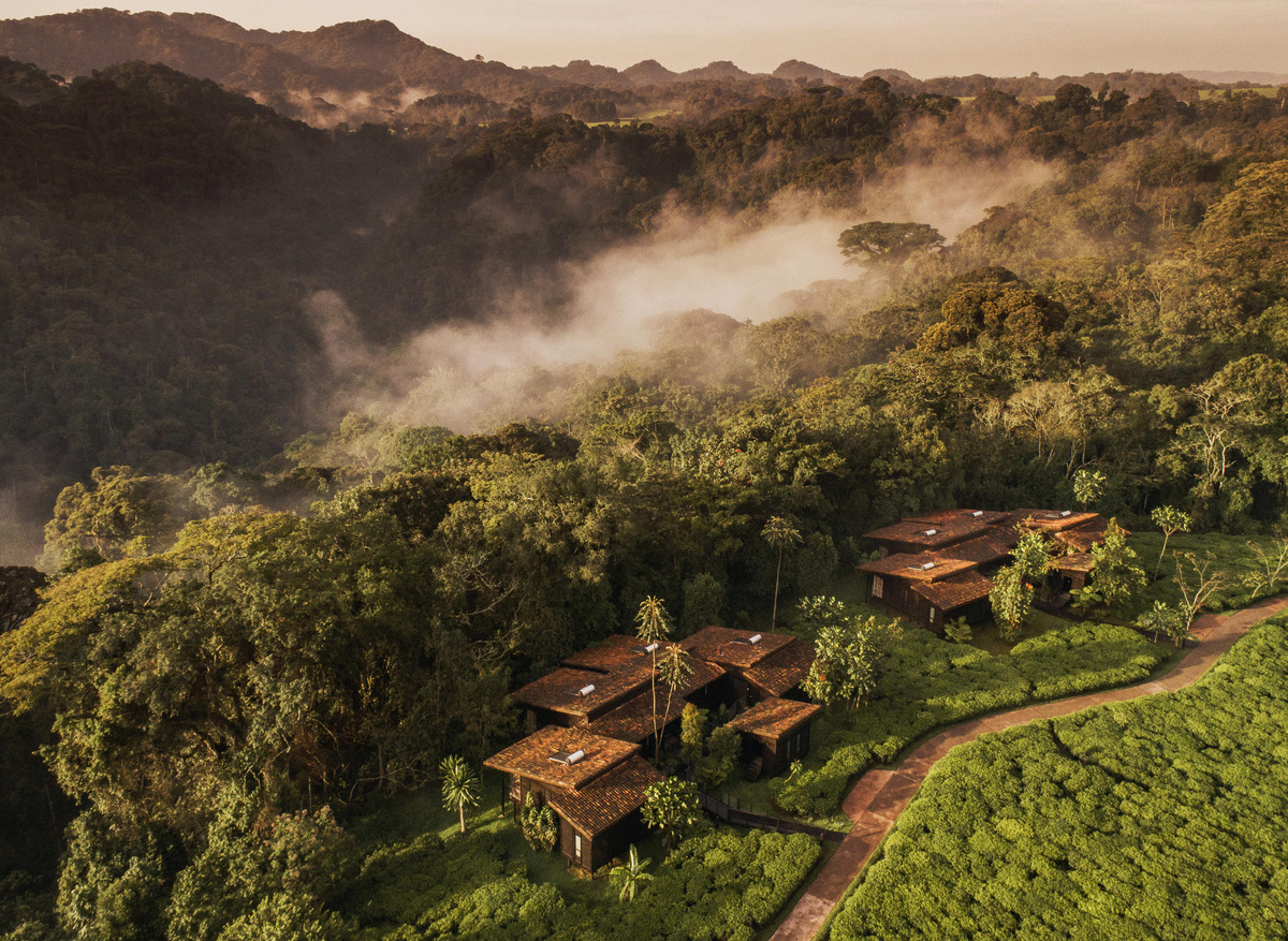 One & Only Nyungwe Resort accommodation 