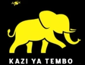 project-kazi-ya-tembo-logo-2547149022.webp