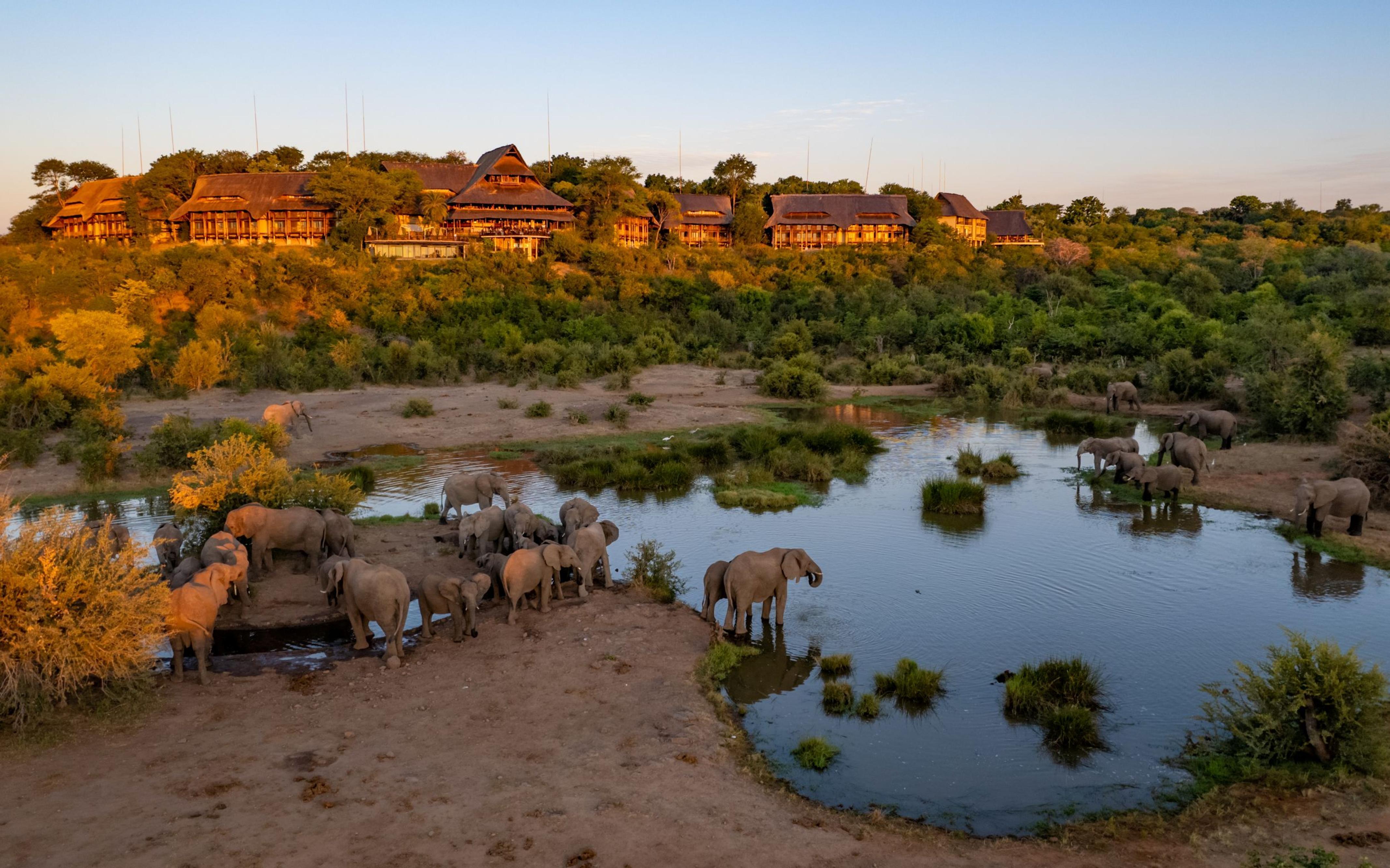 Elephants at the waterhole at Victoria Falls Safari Lodge.jpg