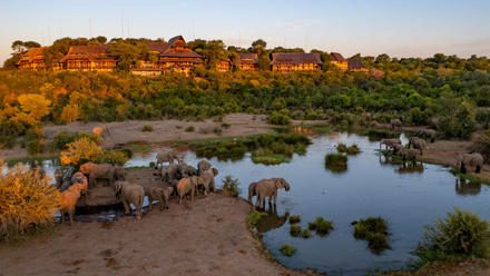 Elephants at the waterhole at Victoria Falls Safari Lodge.jpg