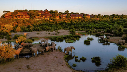 Elephants at the waterhole at Victoria Falls Safari Lodge.jpg