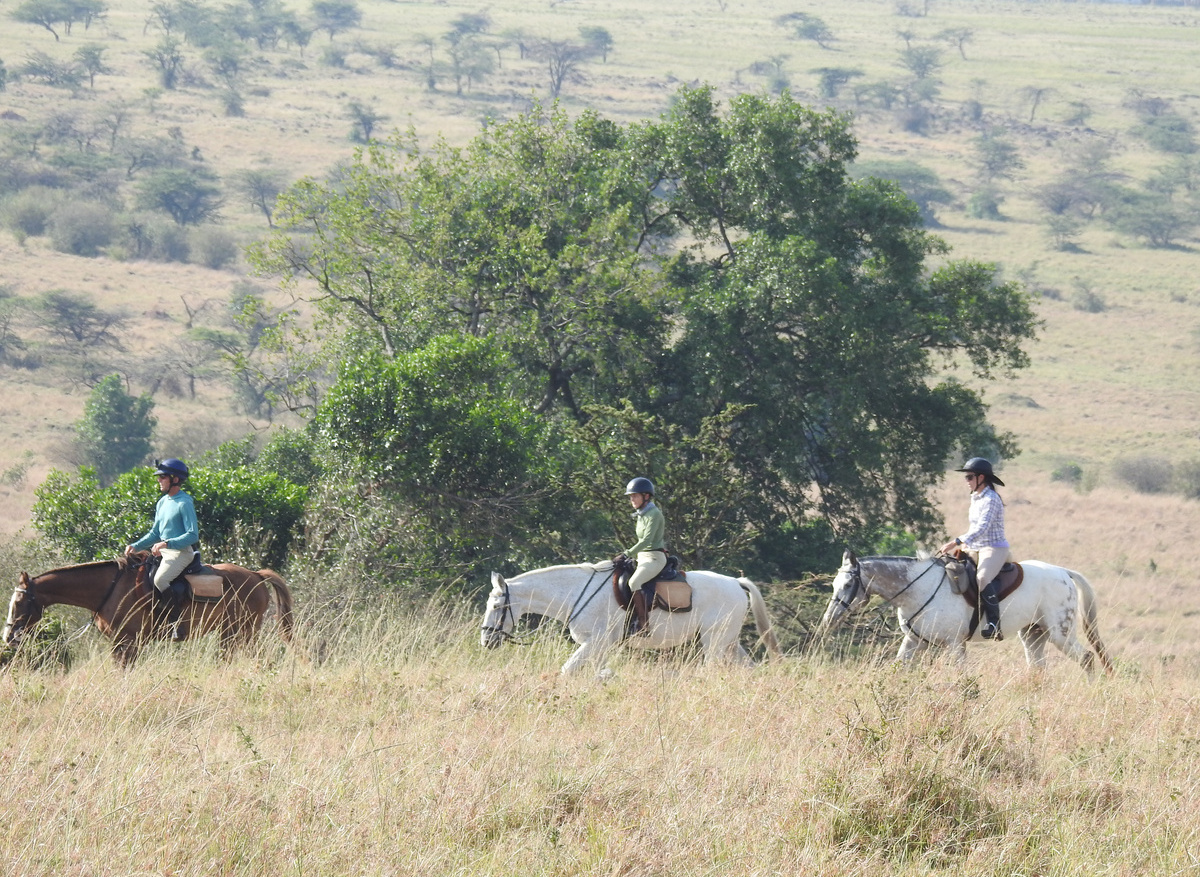 DSCN4687.JPG