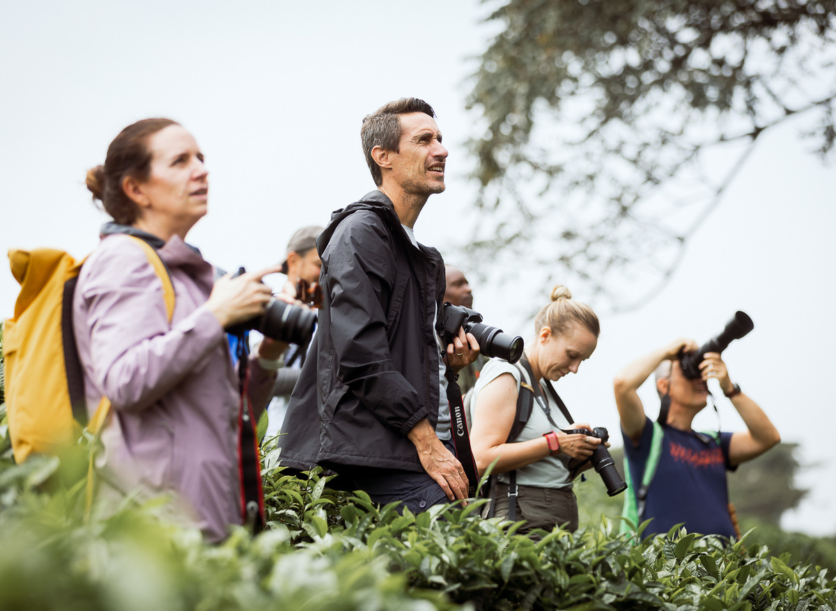 bird watching experience 