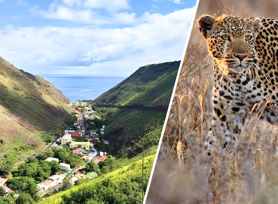 Cape+Town%2C+Saint+Helena+and+Kruger+-+NEW+Tailor-made+Tour.png