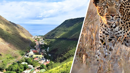 Cape+Town%2C+Saint+Helena+and+Kruger+-+NEW+Tailor-made+Tour.png