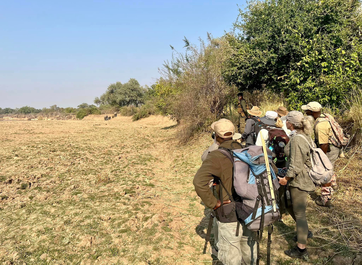 Walking Safari in North Luangwa National Park, Zambia