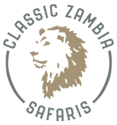 CZS Colour Round@2x.png