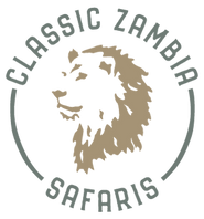 CZS Colour Round@2x.png