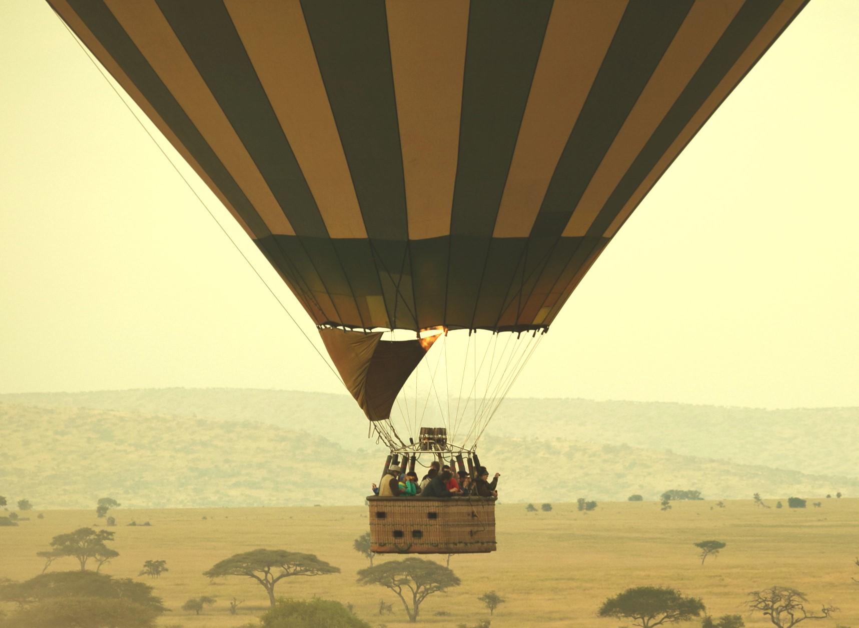 Serengeti+Balloon+Safari.jpg