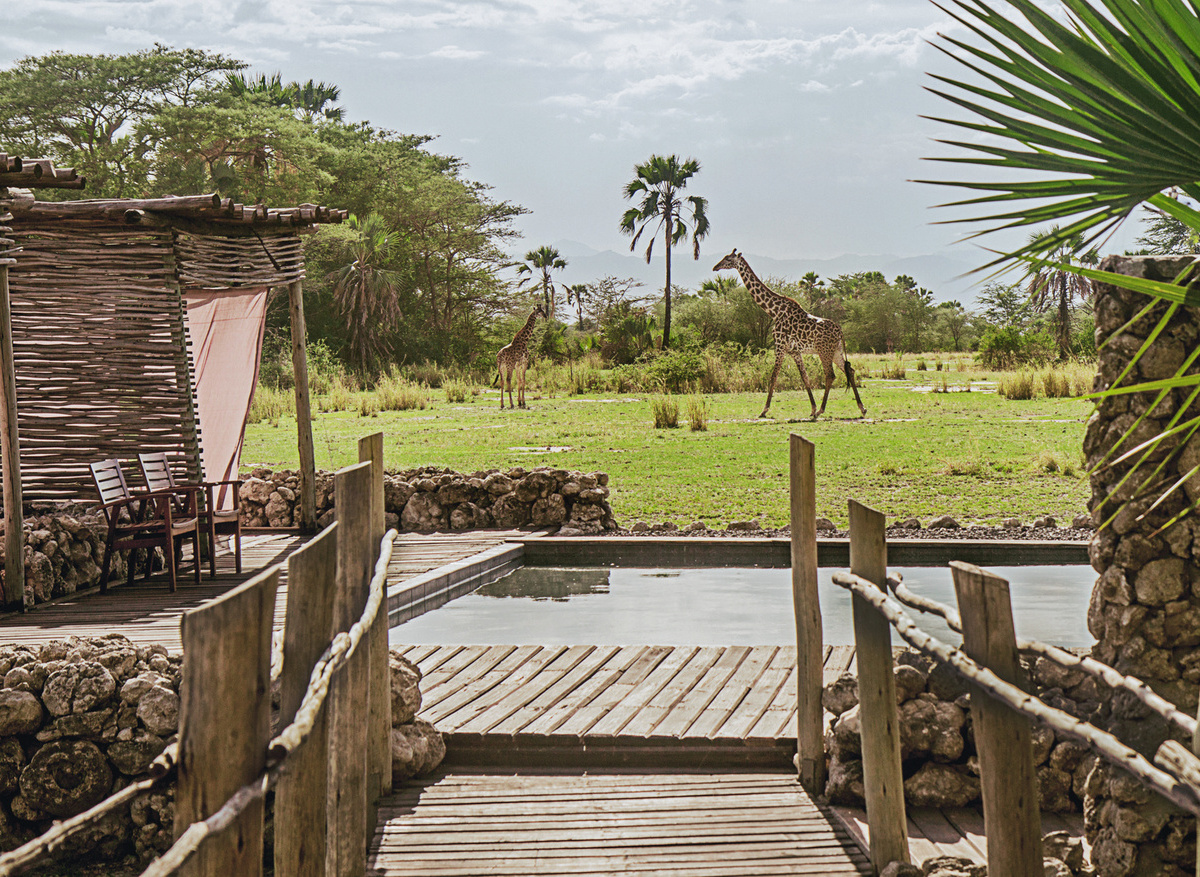 Chem-Chem-Lodge-Safari-Tanzania-Accommodation-Luxury-Pool-Area-Giraffe.jpg